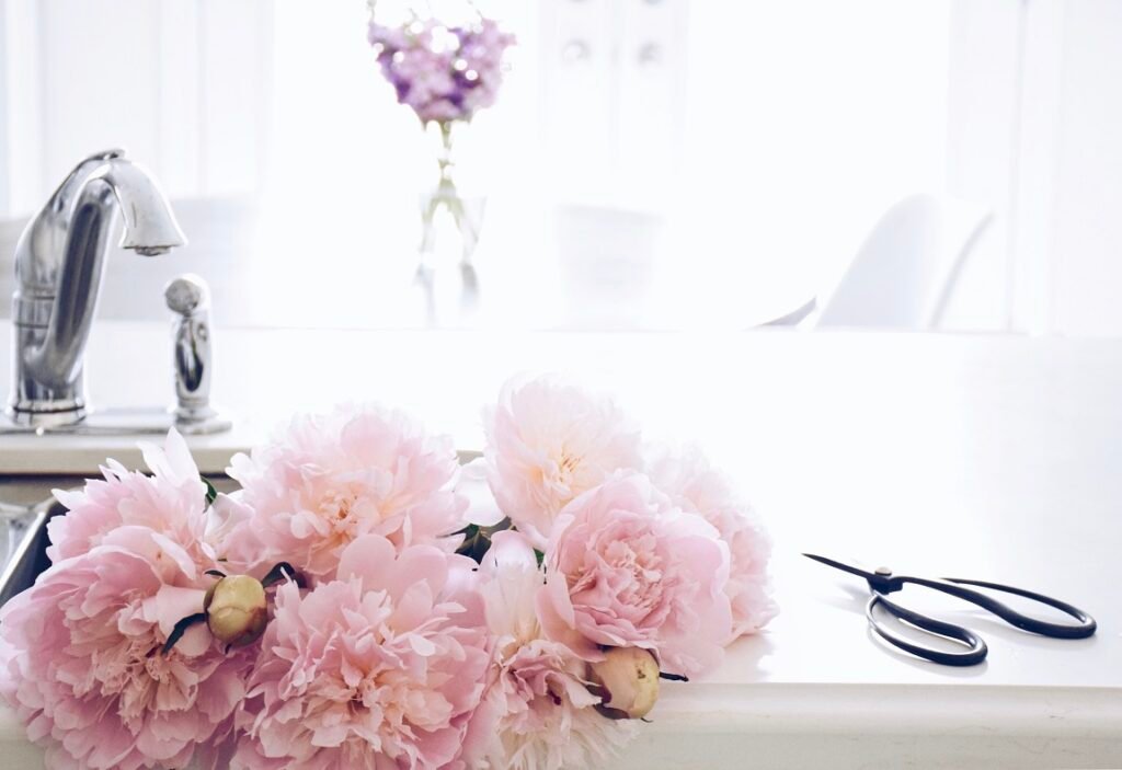 a-bouquet-of-pink-peonies-in-a-kitchen-sink-of-a-b-UTME3B8